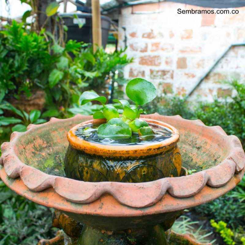 Beneficios de las fuentes de agua para jardín