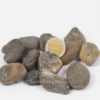 Piedra Huevo de Palomo Negro | Piedra Decorativa para Plantas o Jardín
