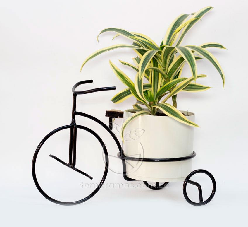 Planta Cinta Mini | Porta Macetas Metálico | Porta Macetas en Forma de Bicicleta | Porta Macetas para Escritorio