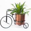 Planta Cinta Verde Mini en Porta Macetas Bicicleta