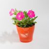 Planta Petunia Rosada en Maceta Synue 15 cm Naranja