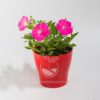 Planta Petunia Rosada en Maceta Synue 15 cm Roja