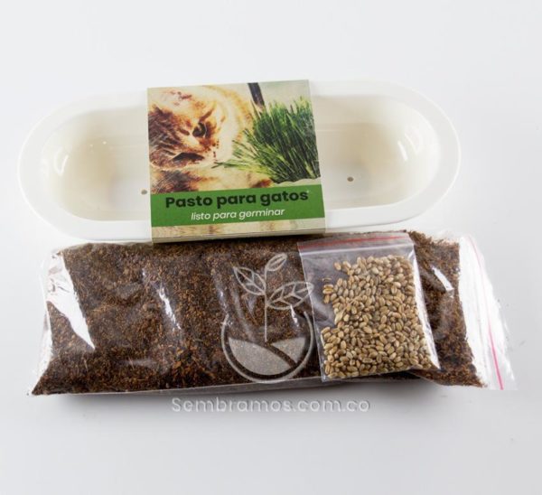 Detalle Kit de Siembra de Pasto para Gatos