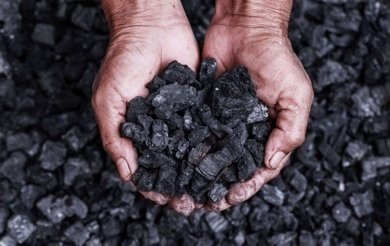 carbón vegetal | biochar