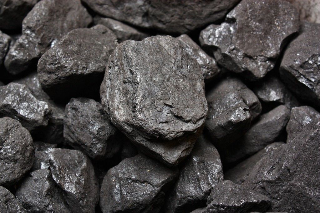 carbón vegetal | biochar