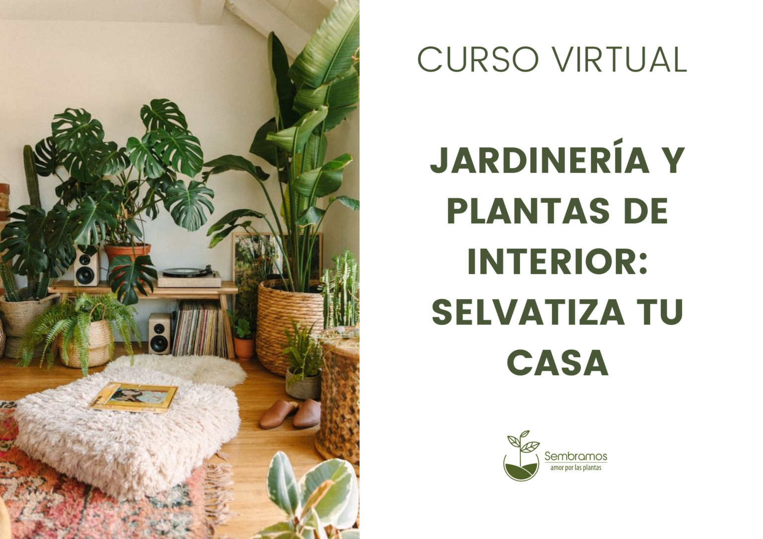 Cursos Virtuales De Jardinería Certificados Vivero Online