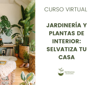 curso virtual jardinería