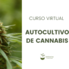 curso virtual cannabis