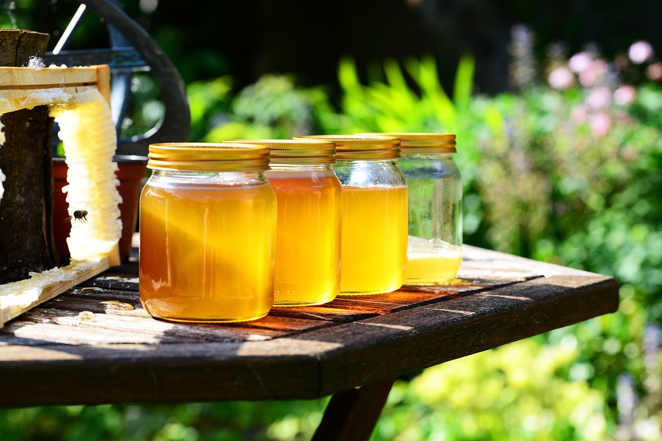 miel de abejas apis mellifera